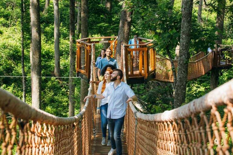 Anakeesta Tennessee Smokies Visitors Guide