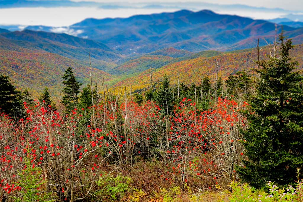 Things to Do this Fall in the Tennessee Smokies