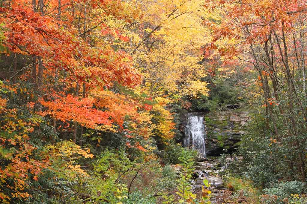 Fall Leaves Smoky Mountains 7 Great Fall Adventures In The Smoky