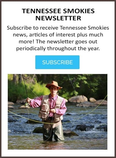 tennessee smokies newsletter