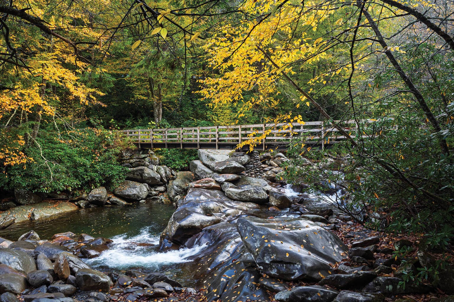 A wooden footbridge crosses a rushing mountain stream surrounded by mossy rocks and vibrant autumn foliage in Smoky Mountains National Park.