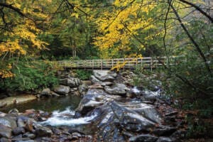 A wooden footbridge crosses a rushing mountain stream surrounded by mossy rocks and vibrant autumn foliage in Smoky Mountains National Park.